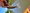 10016 Largemouth Bass 08/23/24 12:30pm