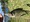 10091 Black Crappie 09/09/24 6:55am