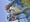 10092 Black Crappie 09/05/24 4:57pm