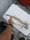 10271 Speckled Trout 10/03/24 4:35pm