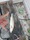 10273 Speckled Trout 10/04/24 5:05pm