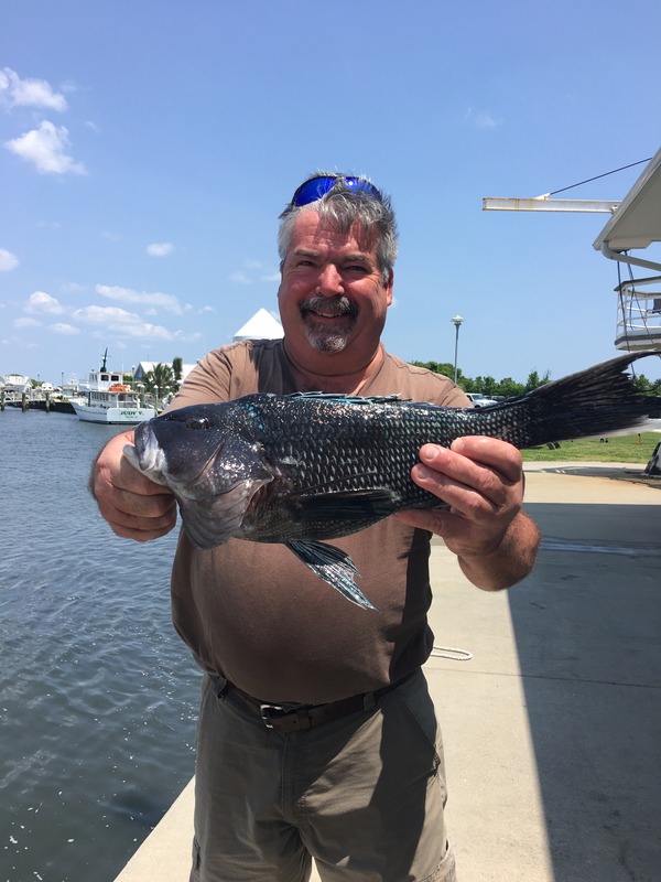 1030 Black Sea Bass 05/26/18 12:18am 1030 Black Sea Bass 05/26/18 12:18am