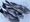 10315 Sea Bass 08/16/24 2:00pm