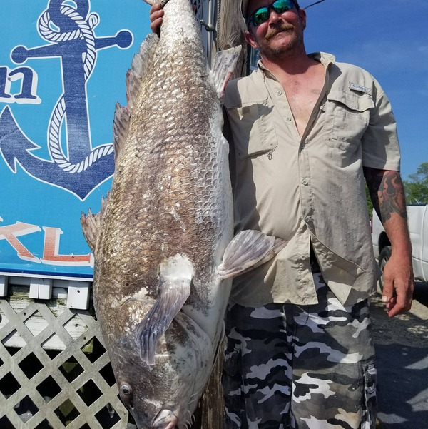 1034 Black Drum 05/20/18 7:10am 1034 Black Drum 05/20/18 7:10am