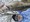 10591 Largemouth Bass 04/06/25 12:27pm