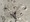 10643 Dogfish Shark 05/03/25 10:24am