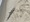 10653 Dogfish Shark 05/03/25 12:10pm