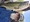 10693 Largemouth Bass 05/07/25 2:47pm