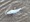 10707 Shad 05/08/25 7:21pm