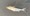 10708 Shad 05/08/25 7:18pm