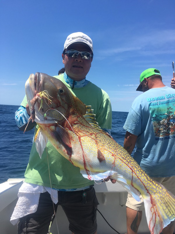 1072 Golden Tilefish 06/08/18 12:32am 1072 Golden Tilefish 06/08/18 12:32am
