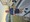 10723 Bluefish 05/15/25 8:09pm