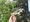 10768 Largemouth Bass 05/20/25 12:22pm