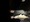 10771 Blue Catfish 05/25/25 9:12pm