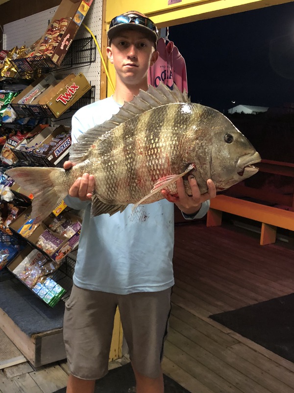 1079 Sheepshead 06/08/18 9:01pm 1079 Sheepshead 06/08/18 9:01pm