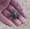 10791 Spider crab 06/05/25 6:02am