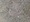 10794 Clearnose Skate 06/06/25 12:27pm