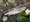 10806 Fallfish 06/15/25 1:46pm