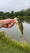 10820 Smallmouth Bass 06/20/25 1:00pm
