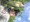 10821 Largemouth Bass 06/20/25 5:31pm