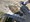 10823 Flounder 06/21/25 1:36pm