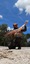 10838 Longnose Gar 06/20/25 1:36pm