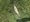 10859 Largemouth Bass 07/09/25 2:46pm