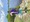 10870 Snook 07/12/25 3:29pm