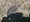10876 Flounder 07/13/25 1:02pm