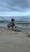 10901 Bullnose Ray 07/19/25 6:25am
