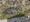 10925 Flounder 07/27/25 12:54pm