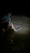 10933 Sandbar Shark 07/28/25 10:02pm