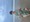 10934 Kingfish 07/27/25 8:06pm