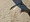 10938 Bluefish 08/02/25 8:54am