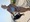 10945 Flounder 08/04/25 4:50pm
