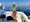 10964 Mahi-Mahi 08/12/25 12:45pm