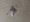 11016 Clearnose Skate 09/03/25 9:09am