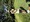 11025 Bluegill 09/07/25 4:23pm
