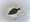 11071 Flounder 09/21/25 5:38pm