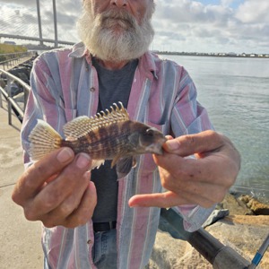 Image #11074 from GreatAnglers.com