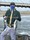 11077 Bluefish 09/21/25 7:20am