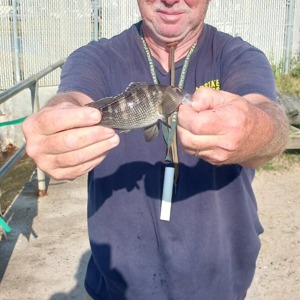 Image #11080 from GreatAnglers.com