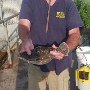 Image #11081 from GreatAnglers.com