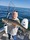 11090 Striped Bass 09/29/25 11:43am