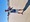 11118 Sandbar Shark 10/07/25 12:58pm