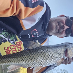 11129 2025-10-10-1952