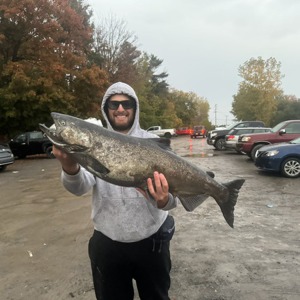 11131 2025-10-11-192