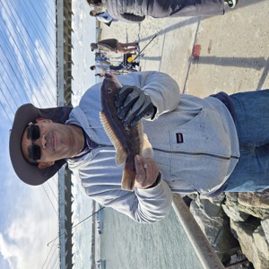 Image #11141 from GreatAnglers.com