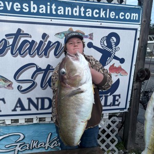 11146 2025-10-26-259