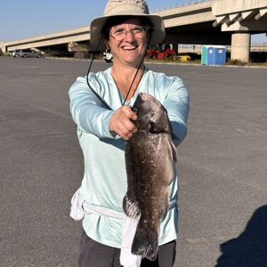 11148 2025-11-02-2405